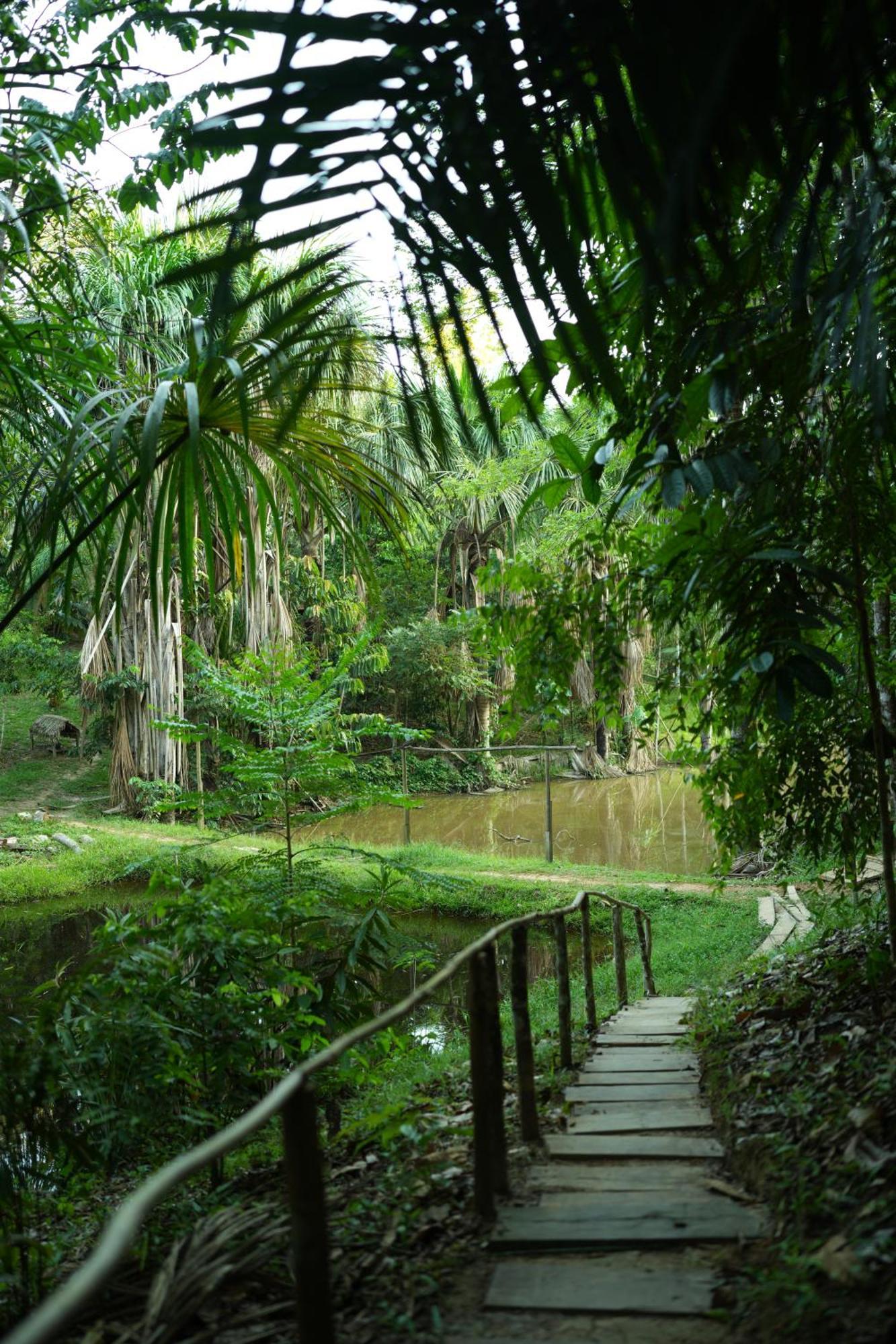 Awaken Amazonian Healing Resort All Inclusive Iquitos Exterior foto